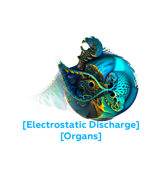 File:Electrostatic Discharge Organs.png
