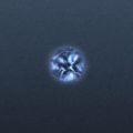 Thumbnail for version as of 09:55, 26 May 2025
