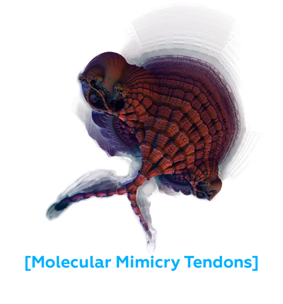 File:Molecular Mimicry Tendons.png